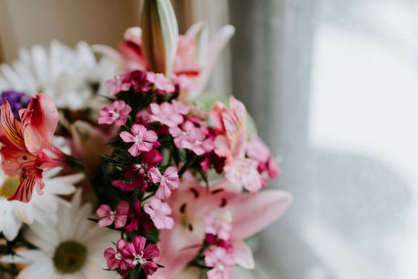 День ангела 28 листопада — душевні привітання в прозі / © Unsplash