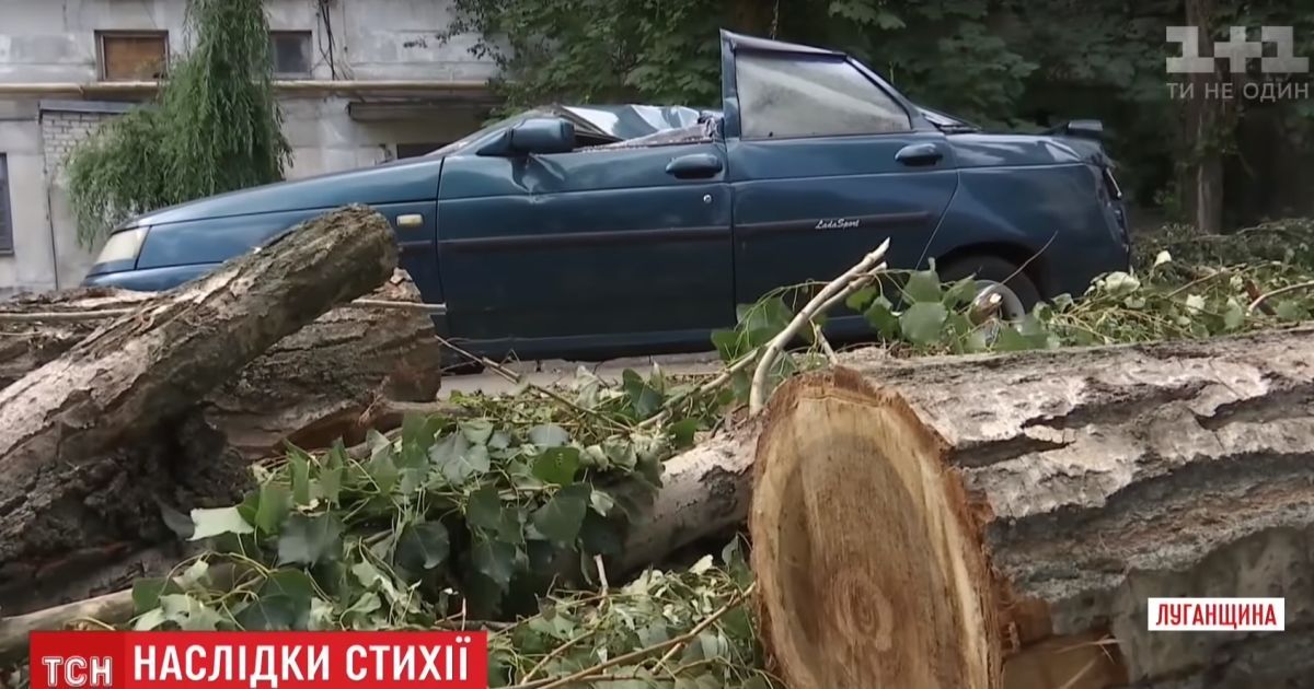 Тополь на машине и крыша за 200 метров от дома: в Рубежном еще полнедели будут ликвидировать последствия урагана