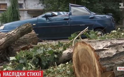 Тополь на машине и крыша за 200 метров от дома: в Рубежном еще полнедели будут ликвидировать последствия урагана
