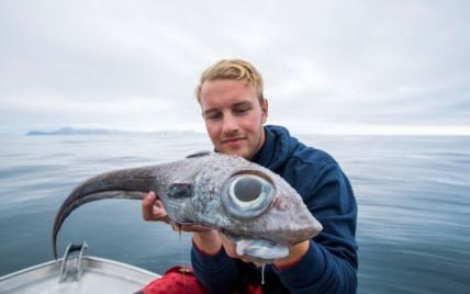 В Норвегии рыбак поймал рыбу-монстра с глазами размером как две луковицы