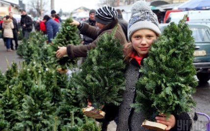Экономические новости 16 декабря: праздничные поезда по Украине и карта "живых" елок