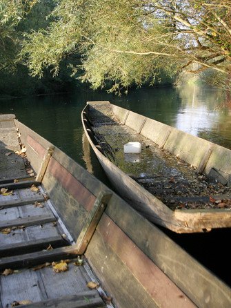 Гороскоп на 19 листопада