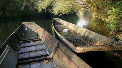 Гороскоп на 19 ноября