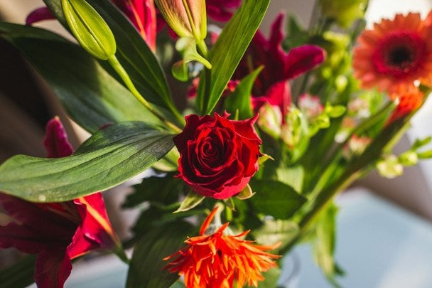 День ангела 29 вересня — душевні привітання в прозі / © unsplash.com