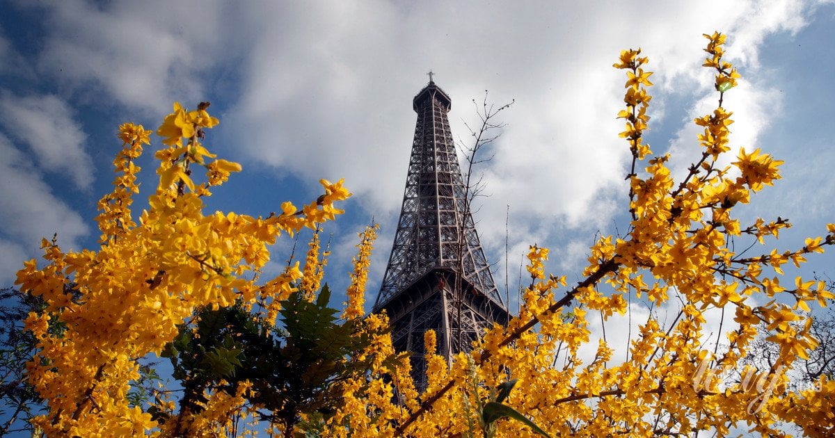 Гороскоп на березень 2026 року