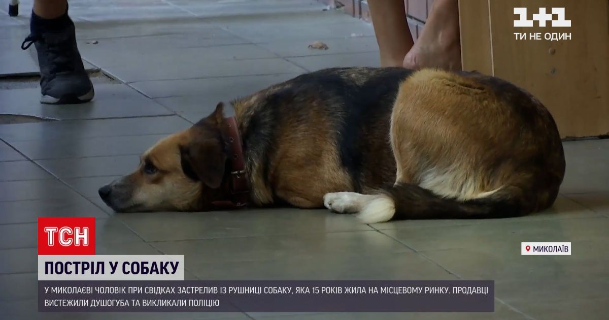 Метро Магазин Украина
