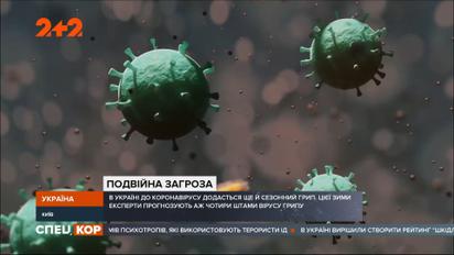 Коронавирус не один: на Украину надвигается сезонный зимний грипп