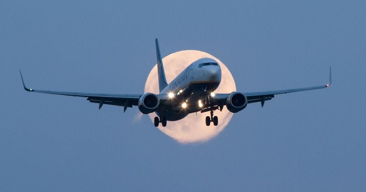 Ryanair требует у "Борисполя" бесплатную землю для отеля. Аэропорт перечислил условия лоукостера