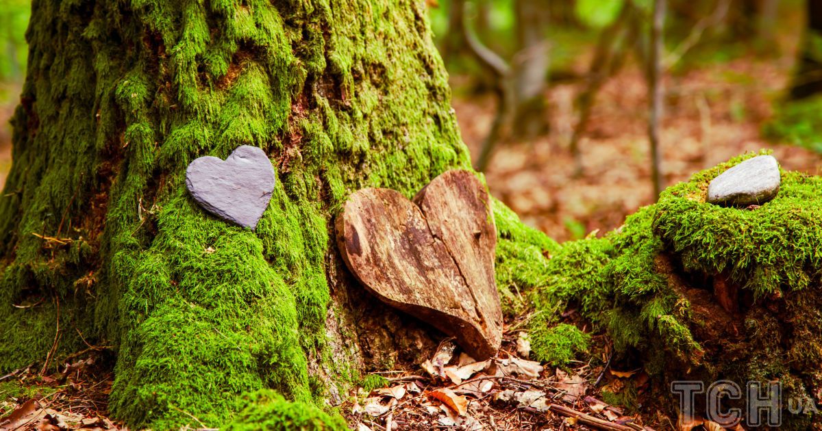 Древо познания - символ дня
