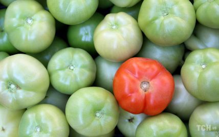 Как заставить зеленые помидоры созреть: очень простой способ
