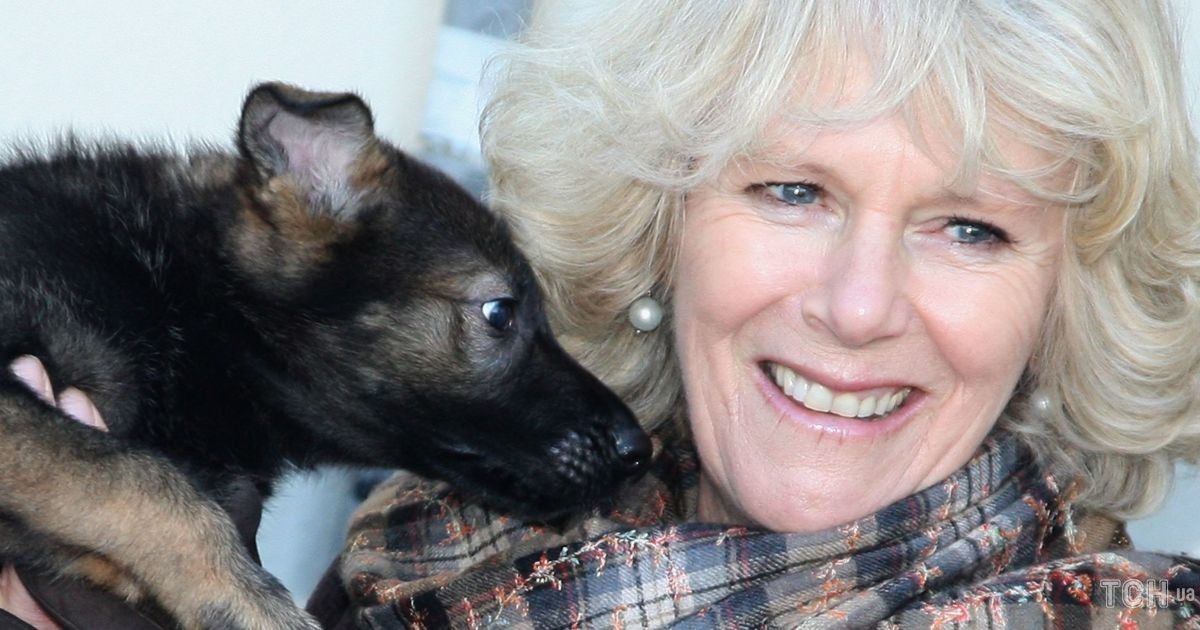 Герцогиня Корнуольская