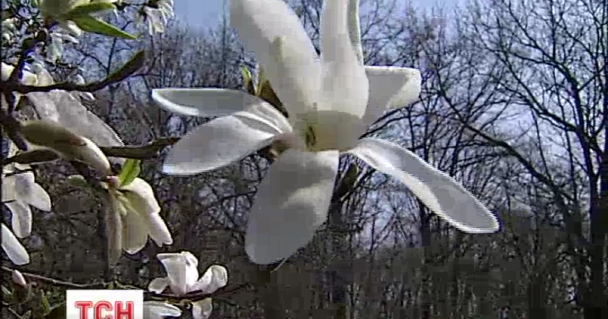 Психологи рассказали, как теплая погода влияет на людей