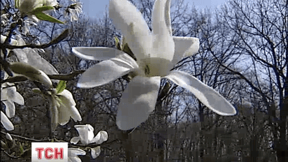 Весна все-таки пришла в Украину