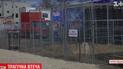 Полювання на звіра: у Прилуках із пересувного цирку на городи втекла левиця