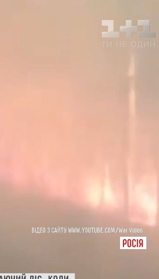 Дорога в ад. Интернет всколыхнуло видео, как в России поезд проехал сквозь охваченный огнем лес