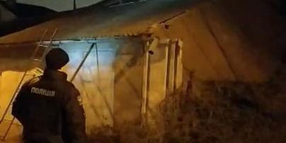 В Одесі озброєний сокирою психічно хворий під час спроби затримання збив поліцейського камінням з даху