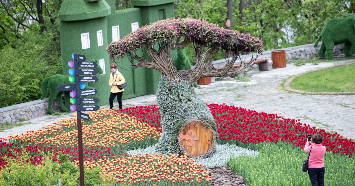 Виставка тюльпанів_Співоче поле_8 / © КМДА