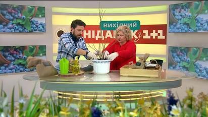 Как ухаживать за газоном и вырастить голубику - Зеленый участок
