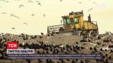 Новости Украины: что ищет СБУ на главном мусорном полигоне Киевской области