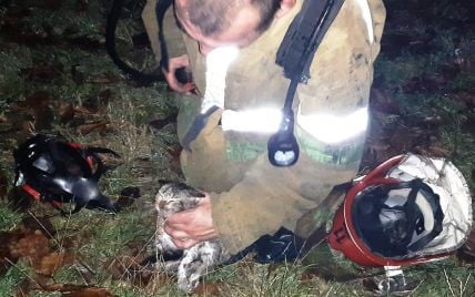 Полтавская ГСЧС показала трогательные кадры спасения котенка из пожара