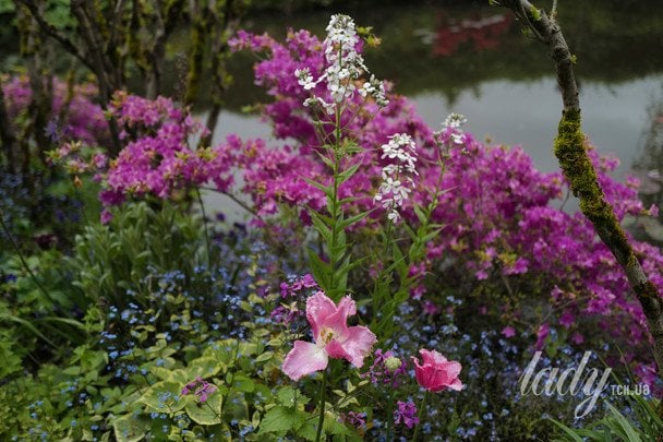 Від заморозків до +24°C: коли до України прийде різке потепління
