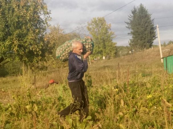 Збір врожаю на ділянці біля майбутнього реабілітаційного центру, вересень цього року / © facebook.com/Ігор Чернецький