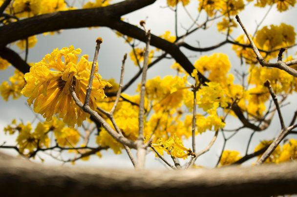 Народні прикмети 16 березня / © Pexels