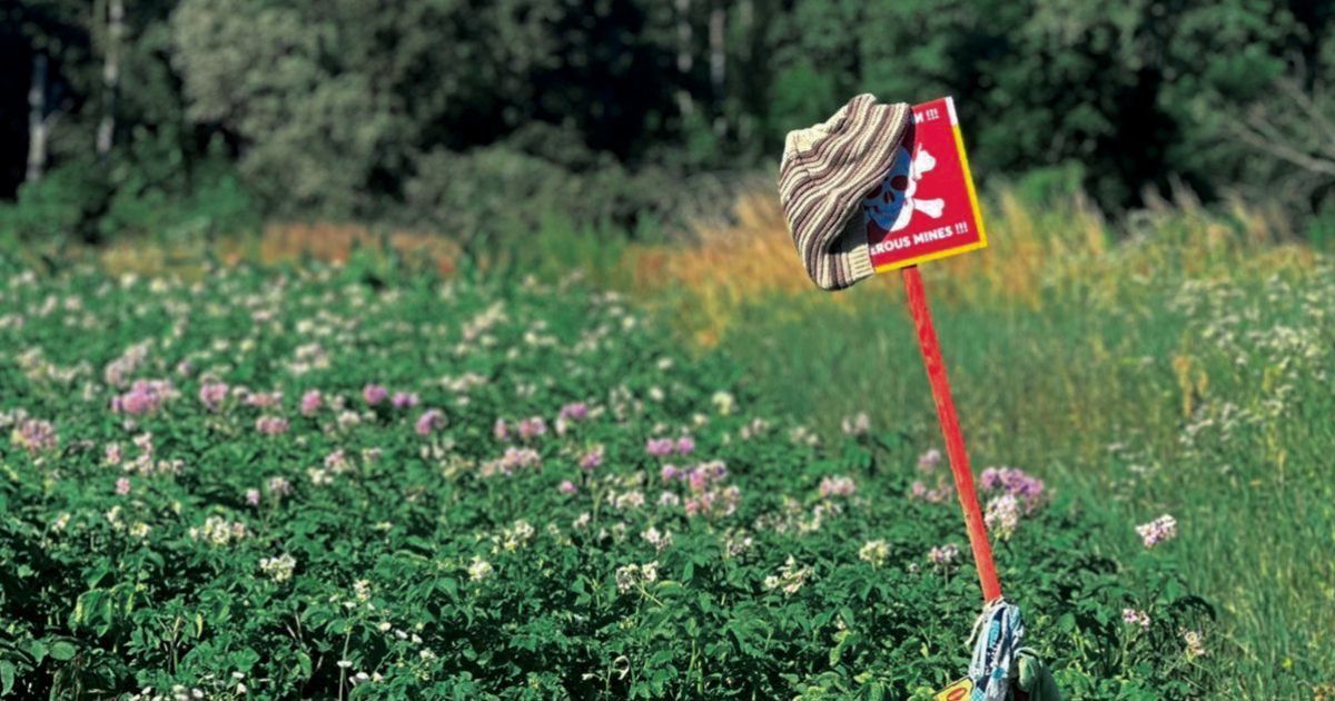В Черниговской области местные подвязывают рассаду табличками "Опасно, мины!"