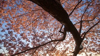 Гороскоп на 6–12 квітня 2026 року