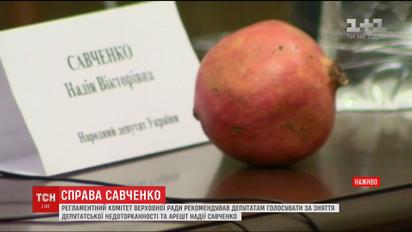 Савченко принесла у Регламентний комітет гранати