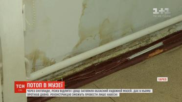 У Харкові через відлигу затопило обласний художній музей
