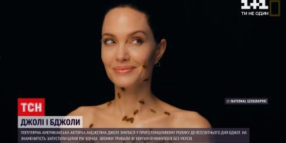 Новости мира: Джоли снялась в потрясающем ролике к Всемирному дню пчел