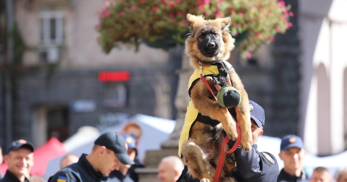 Посвята цуценят у рятувальники_1 / © ГСЧС