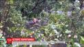 Волонтеры показали кадры невероятного спасения людей во время шторма "Флоренс"