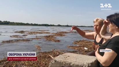 Самая большая экологическая трагедия в кадрах - видео поражает