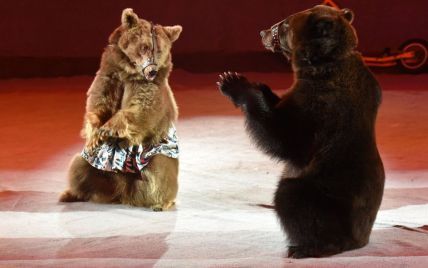 В Киеве окончательно запретили цирки-шапито с животными