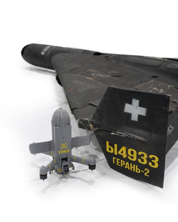 Russian "Shahed" and Ukrainian interceptor drone STING / © Photo from open sources