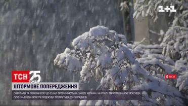 Погода в Україні: синоптики попереджають про відлигу з хуртовиною