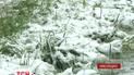 На Николаевщине более 50 населенных пунктов остались без света