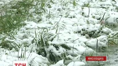 На Николаевщине более 50 населенных пунктов остались без света