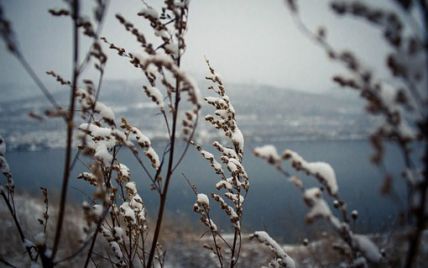 Мокрий сніг та ожеледь: які регіони України накриє стихія