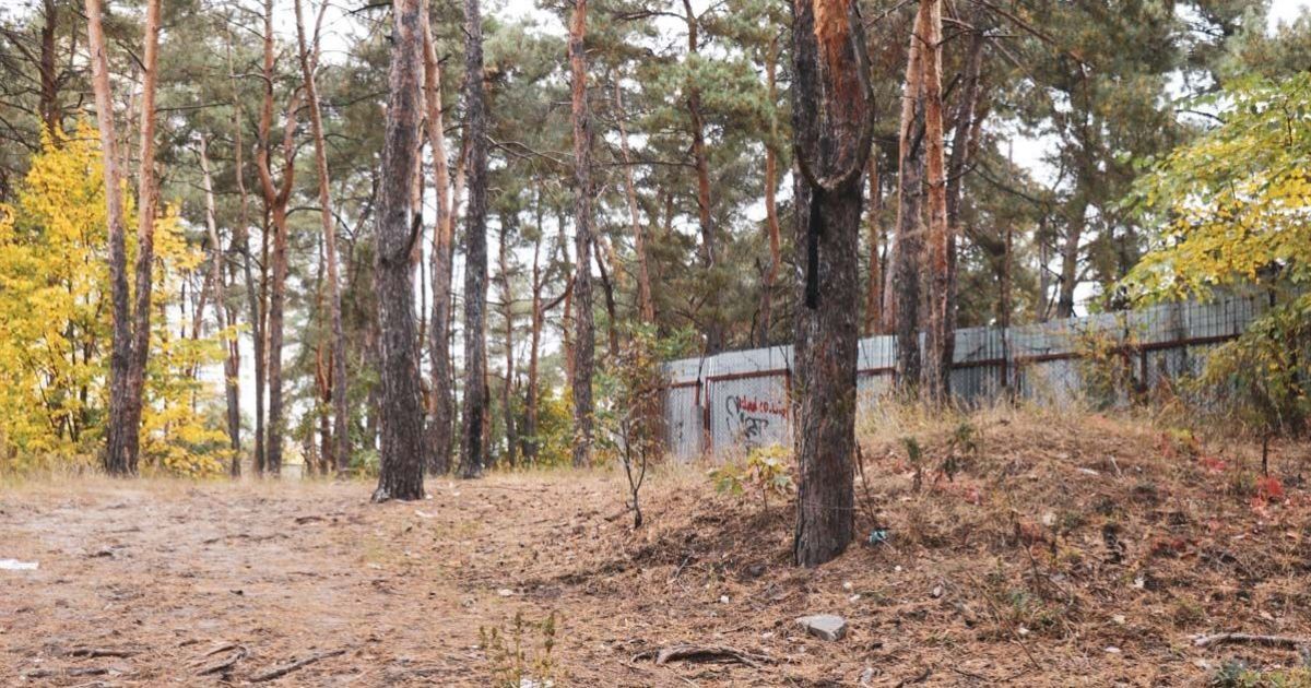 Труп у лісі на Дарниці_2 / © Информатор