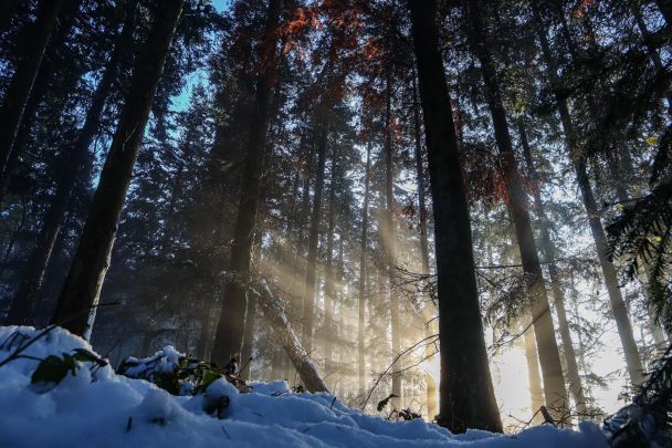 Зима / © Pexels