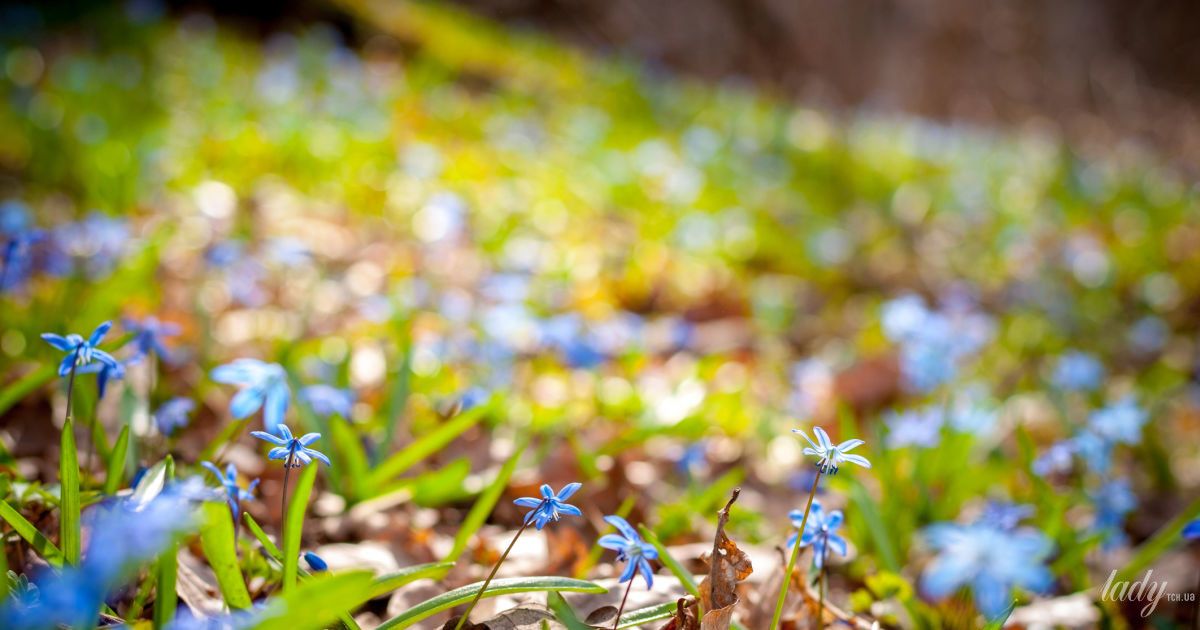 Гороскоп на 28 марта для всех знаков Зодиака: день, когда нужно общаться и укреплять отношения