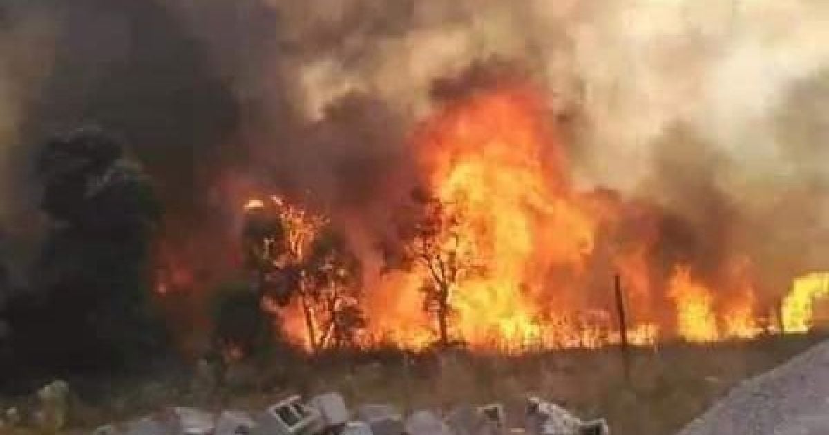 Кривавий вогонь: понад 40 осіб загинуло в Алжирі унаслідок лісових пожеж