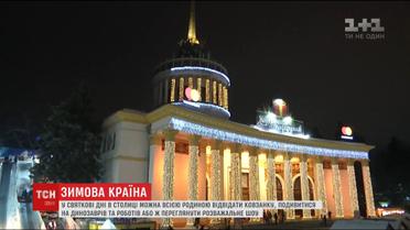 Одним з найпопулярніших у Києві місць для відпочинку стала "Зимова Країна" на ВДНГ