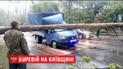 На Киевщине столетняя сосна пробила кабину грузовика