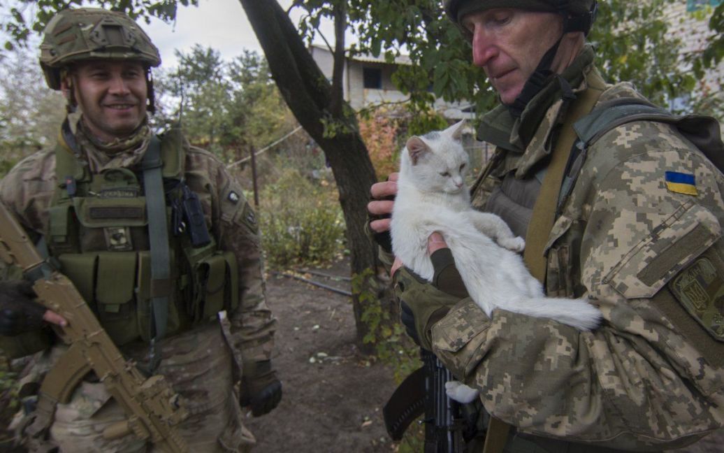 Украинский военнослужащий держит на руках кота в зоне проведения АТО в Донецкой области. / © УНИАН