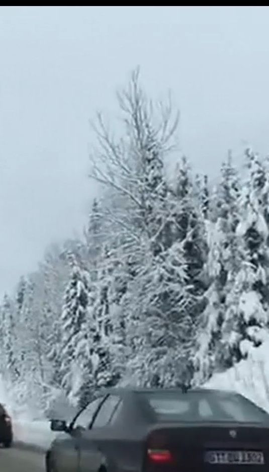 Западную Украину засыпало снегом