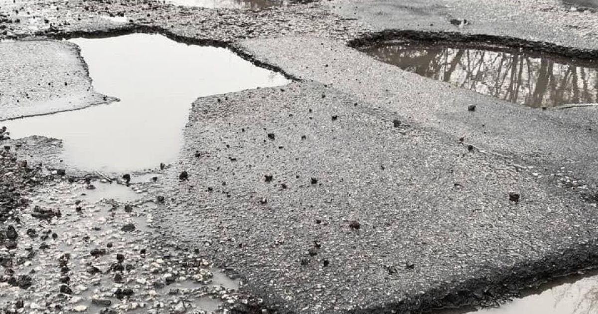 В Киевской области крестьяне высадили деревья вишни в дорожных ямах